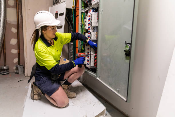 Best Electrical Upgrades for Homes  in Cicero, IN